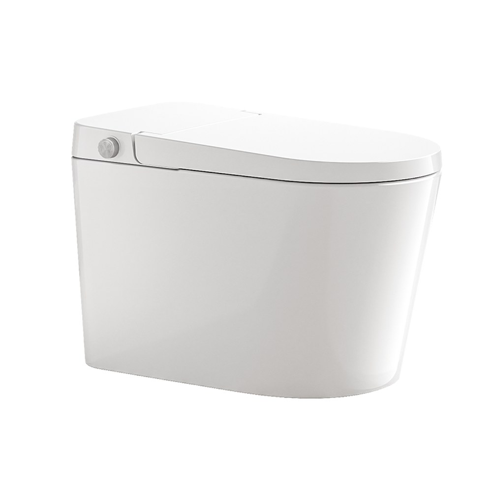 9249 toilet white background