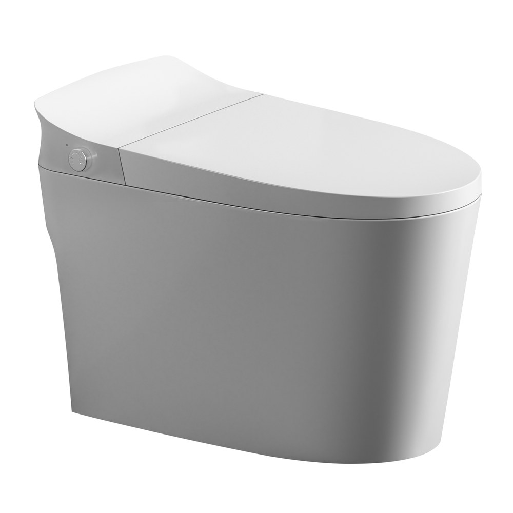 9250 toilet white background