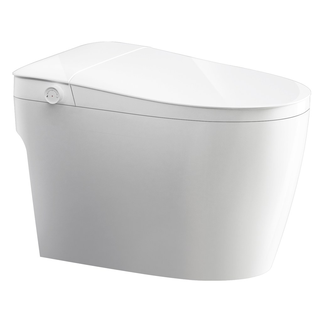 QL-10 toilet white background