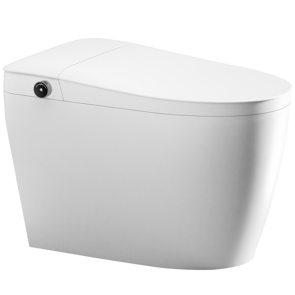 QL-9 toilet white background