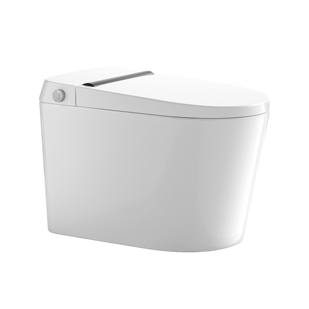 Ceramic toilet models prepared for private-label review